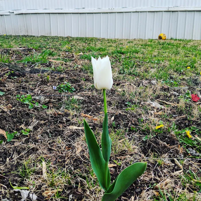 Ruff Mobile Home Park Picture 8