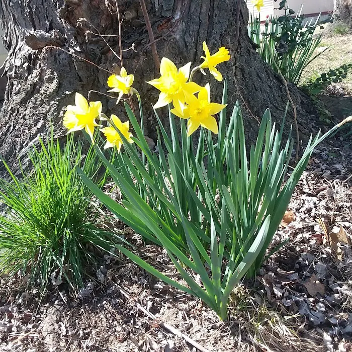 Ruff Mobile Home Park Picture 5