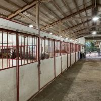 Gaither Horse Motel ico