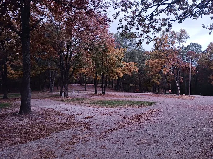 Goldies RV Park Picture 3