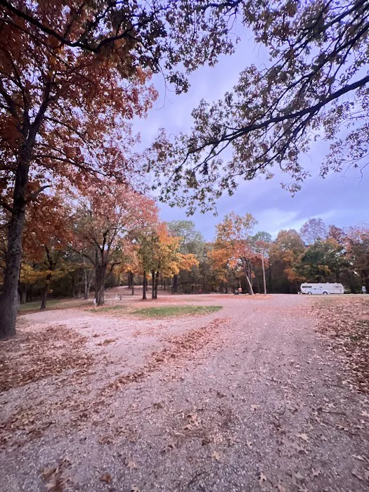 Goldies RV Park Picture 6