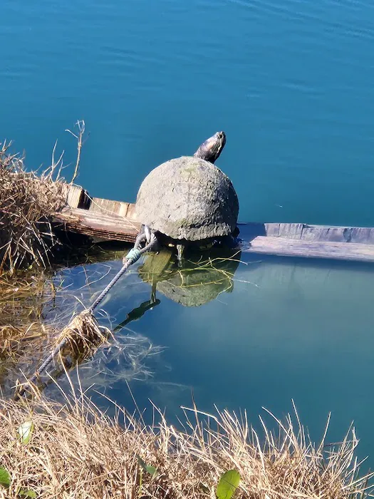 Beacon 44 RV Park Picture 9