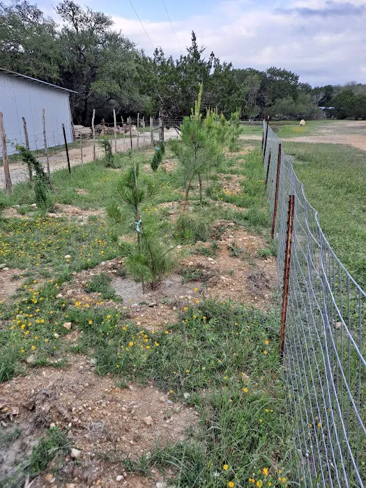THE RANCH RV Park & Boat & RV Storage Picture 6