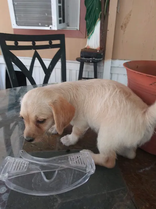 North Valley Manufactured Home Community Picture 10