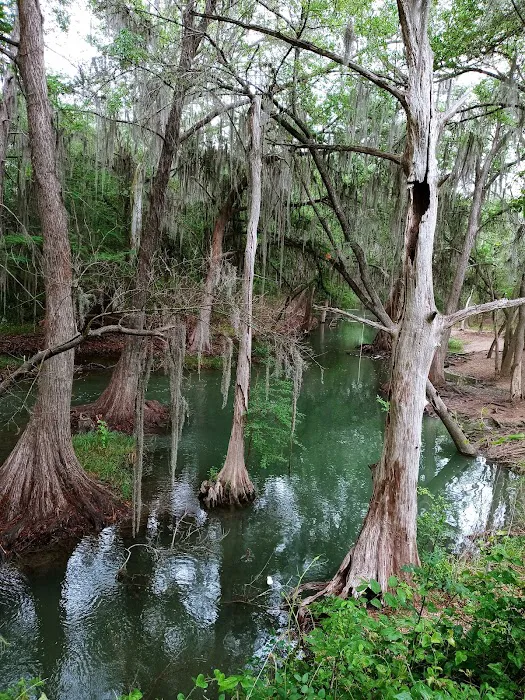 Castroville RV Park Picture 3