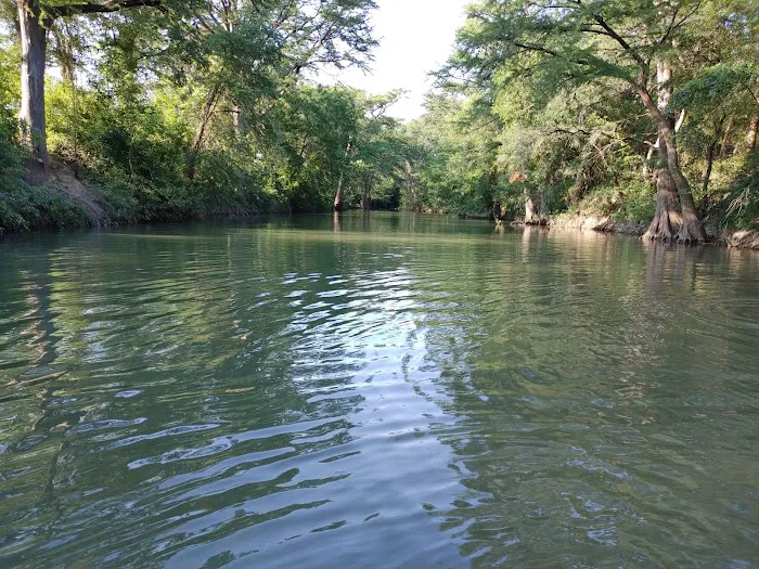 Castroville RV Park Picture 5