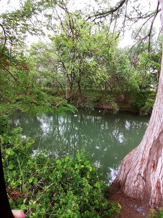 Castroville RV Park Picture 9