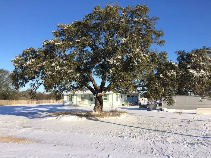 Big Oak RV Park Picture 1