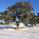 Big Oak RV Park
