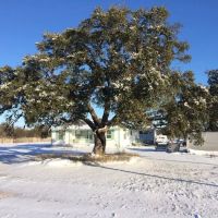 Big Oak RV Park ico