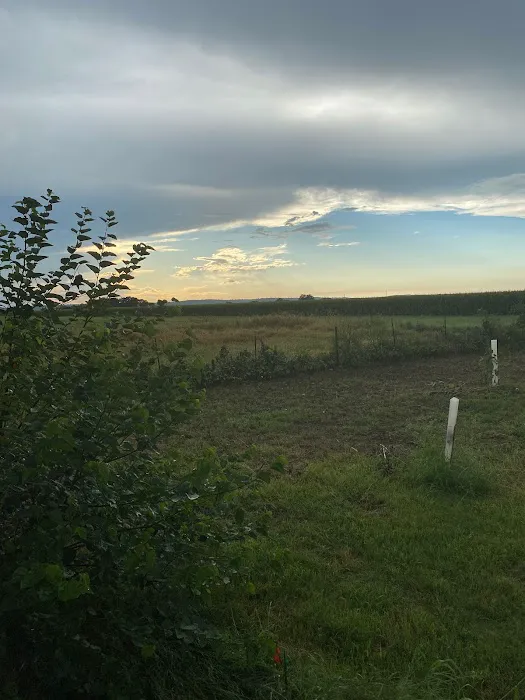 Evening Breeze RV Park Picture 4