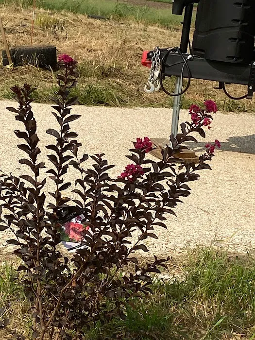 Evening Breeze RV Park Picture 3