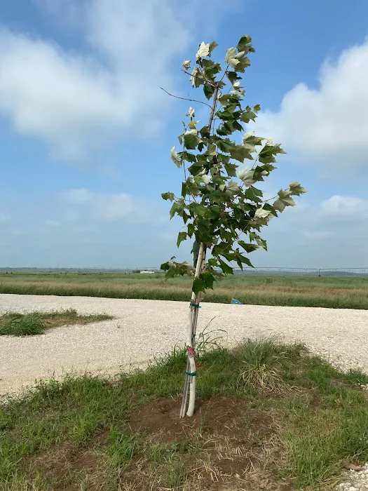 Evening Breeze RV Park Picture 2