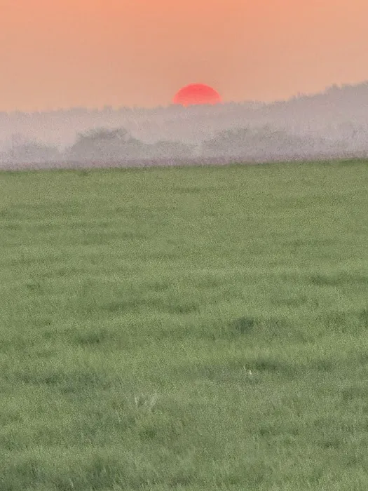 Evening Breeze RV Park Picture 8