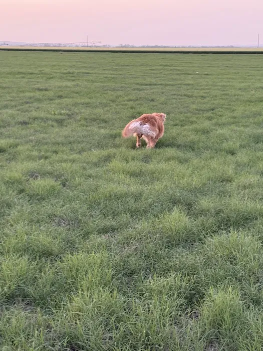 Evening Breeze RV Park Picture 10