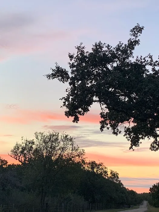 Blue Sky RV Resort Picture 4