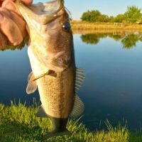 Brixey Lake RV Park ico