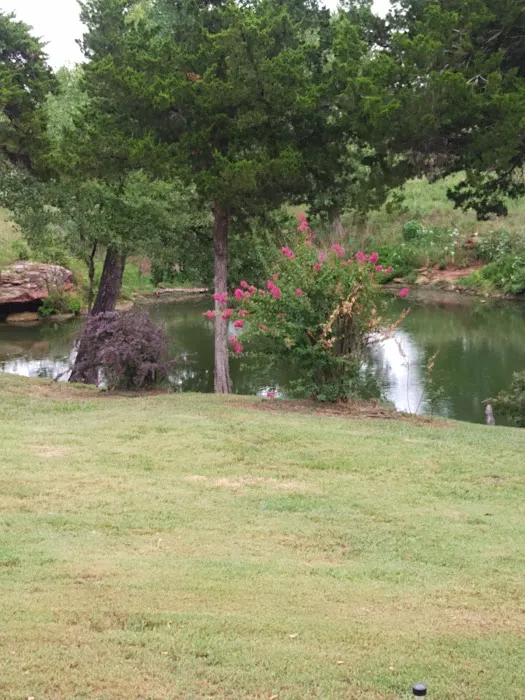 Brixey Lake RV Park Picture 4