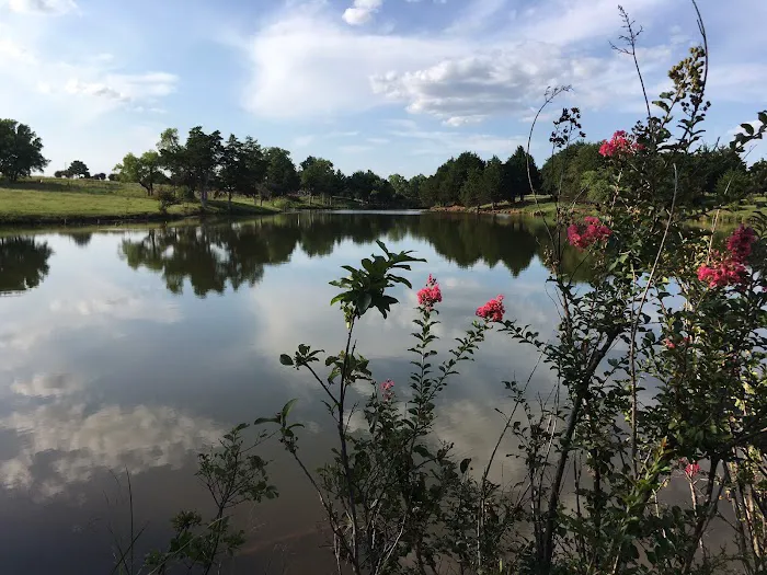 Brixey Lake RV Park Picture 8