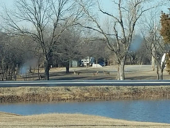 Taylor's RV Park #2 Picture 9