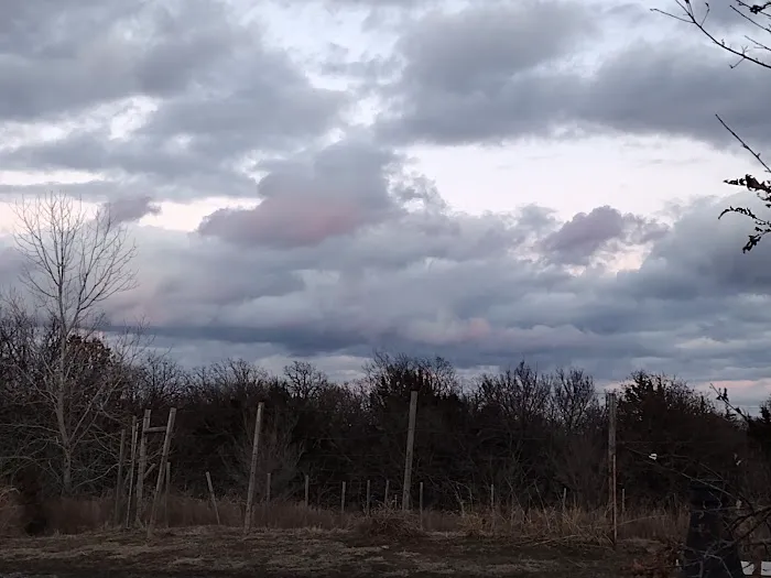 Greenwood Village RV Park Picture 3