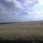 Major Mobile Home Park Inc