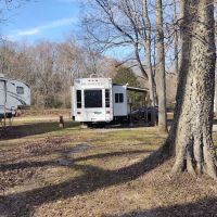 Silver Leaf Camp Park ico