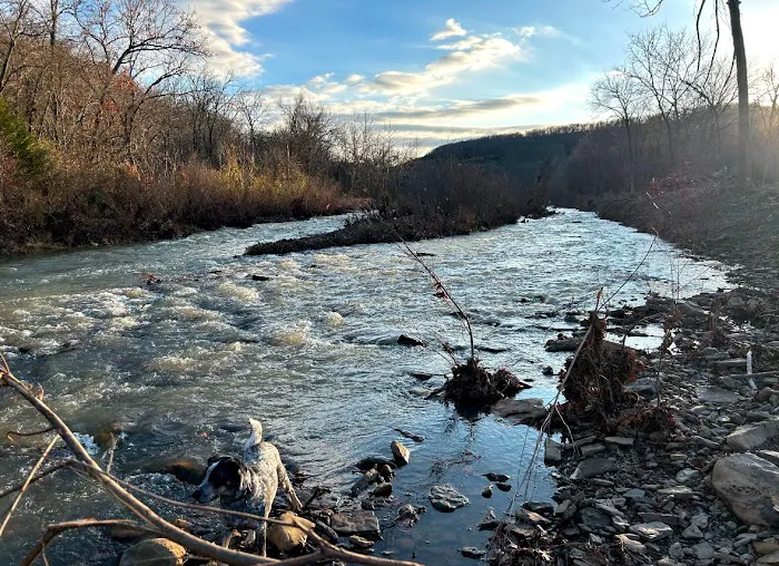 Skipping Rock RV Resort and Campground Picture 3