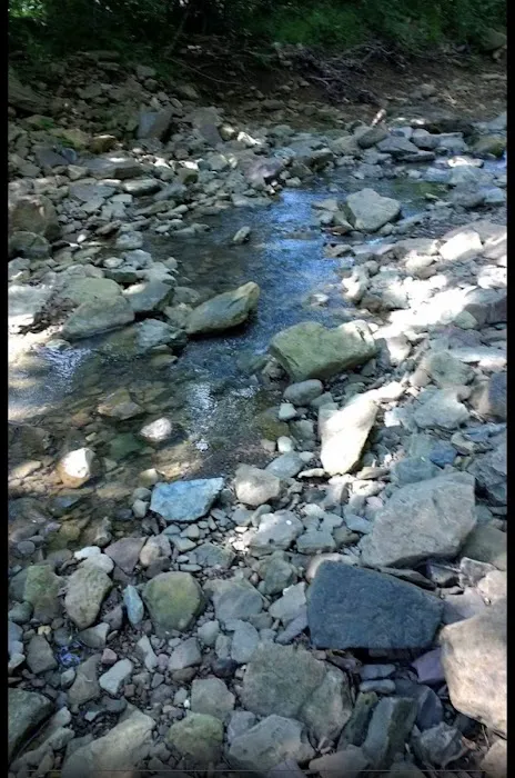 Skipping Rock RV Resort and Campground Picture 6