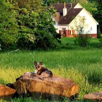 Cowpatty Campground And RV Park Fayetteville Arkansas ico