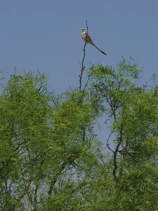 Tucked Away RV Park Picture 8