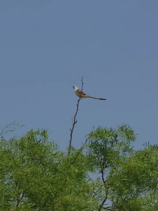 Tucked Away RV Park Picture 5