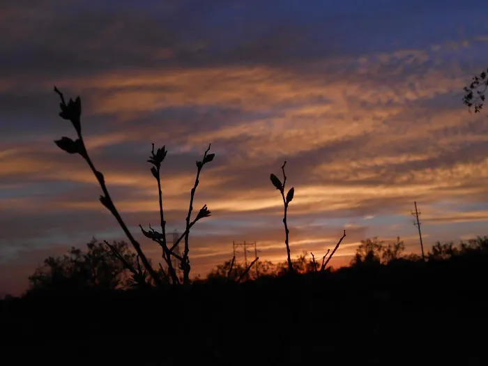 San Angelo MHP LLC Picture 3