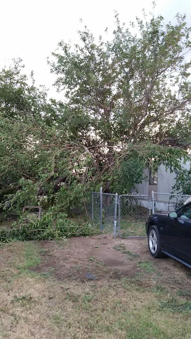 San Angelo's Orchard Picture 4