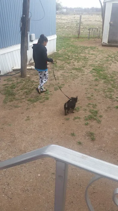 San Angelo's Orchard Picture 8