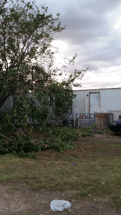 San Angelo's Orchard Picture 9