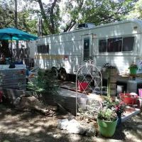 Brown's Trailer Park ico