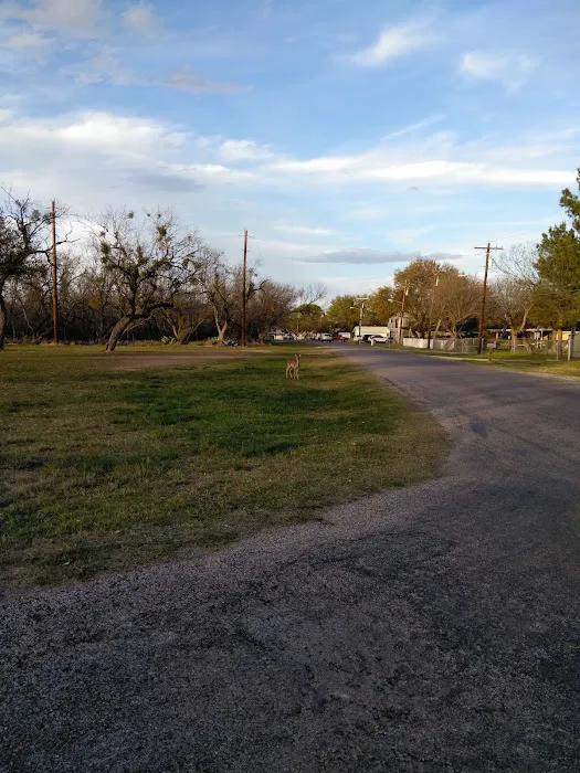 Brown's Trailer Park Picture 5