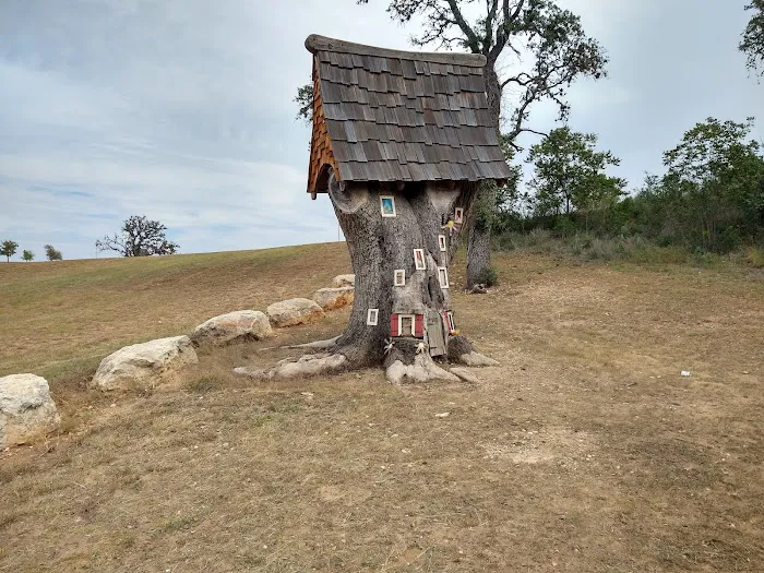 Lady Bird Johnson Municipal Park Campground Picture 10