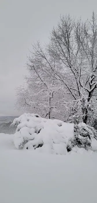 Ozark View RV Park Picture 7