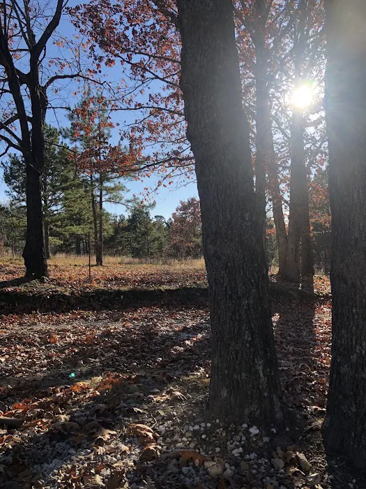 7C's RV Park Picture 1