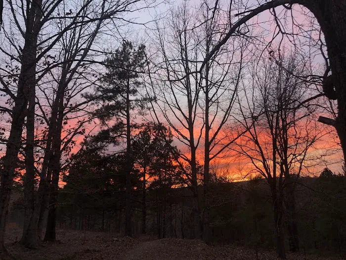 7C's RV Park Picture 5