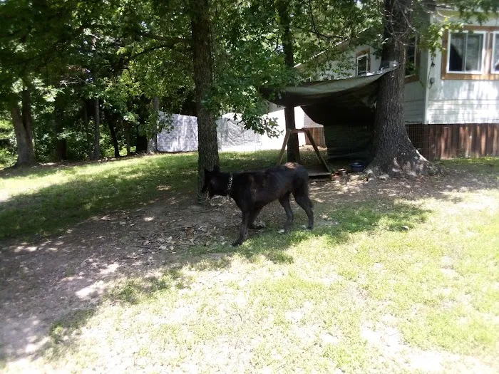 State Line RV Park Picture 3