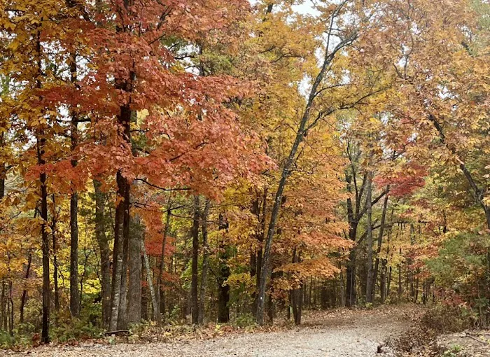 Outskirts of Heaven LLC RV Park & Cabins Picture 8