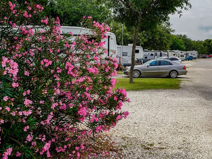 Alamo Fiesta RV Resort Picture 7