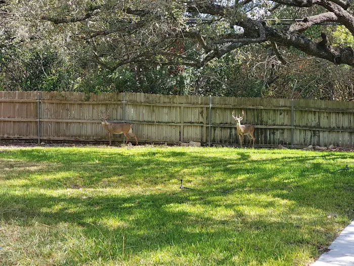 San Pedro Mobile Home Park Picture 3