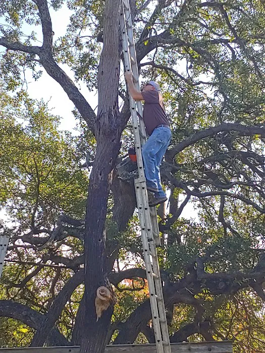 San Pedro Mobile Home Park Picture 6