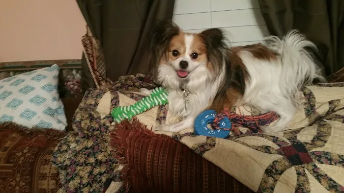 Foothills Mobile Home Ranch Picture 3