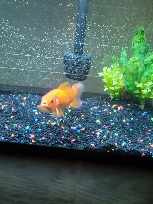 Foothills Mobile Home Ranch Picture 7