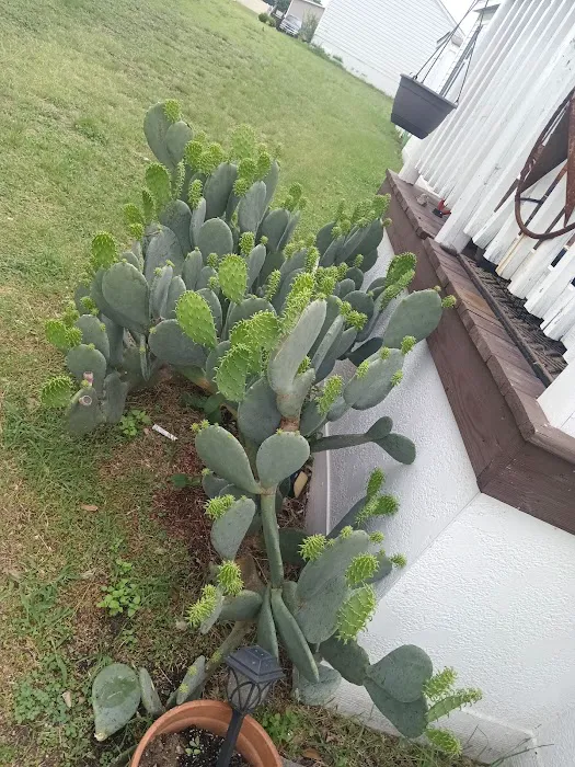 Stonebridge Picture 10